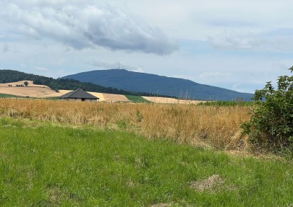 działka na sprzedaż - Jordanów Śląski, Glinica