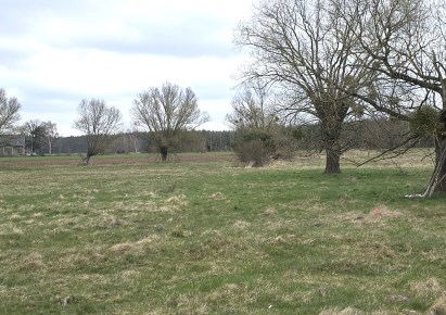 działka na sprzedaż - Krośnice, Luboradów